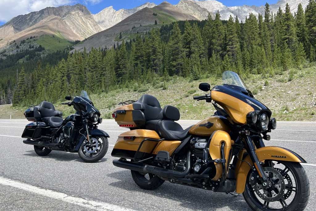 Harley Davidson Harley Davidson